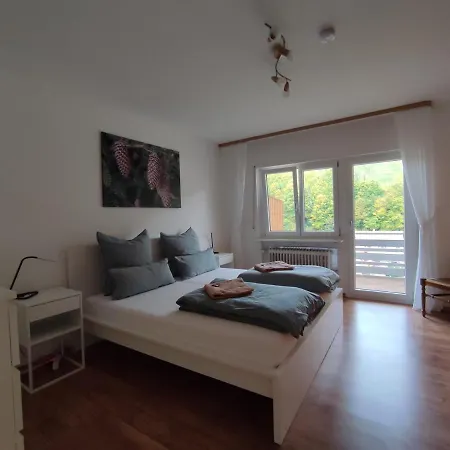 Steepleview House, Schwarzwaldblick Apartment - Spacious & Peaceful Bad Peterstal-Griesbach Exterior photo